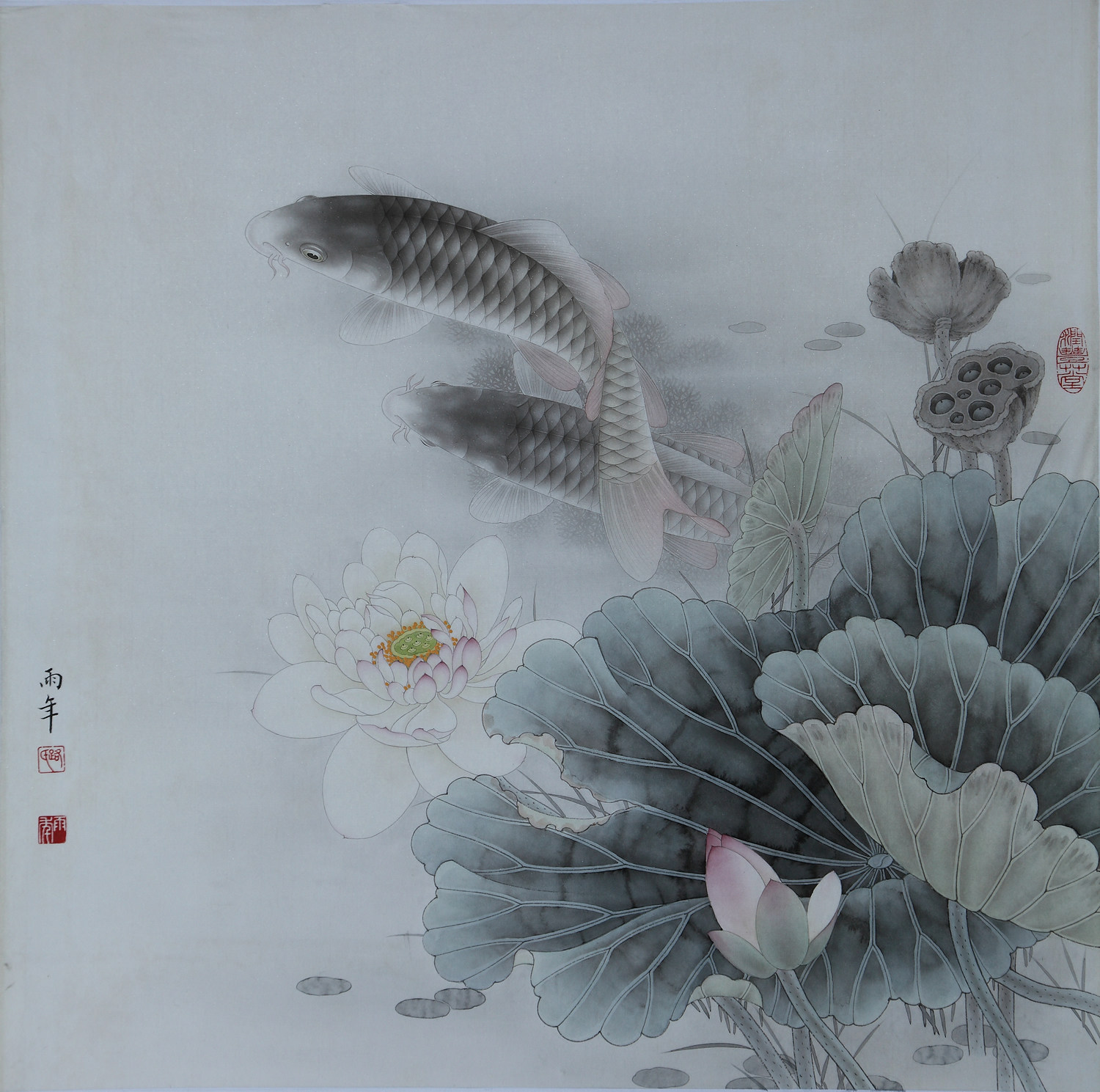 工笔画底稿路雨年荷花鲤鱼斗方参考白描13打印稿宣纸稿本店拷贝稿