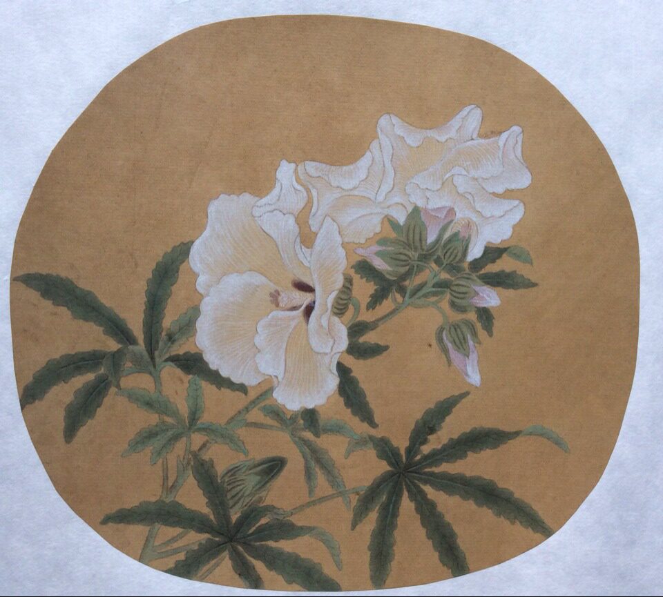 工笔画底稿 宋 秋葵图 白描54#打印稿毛笔勾线宣纸稿