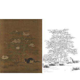 工笔画底稿牡丹猫南宋佚名富贵花狸图参考白描169#打印稿学习临摹