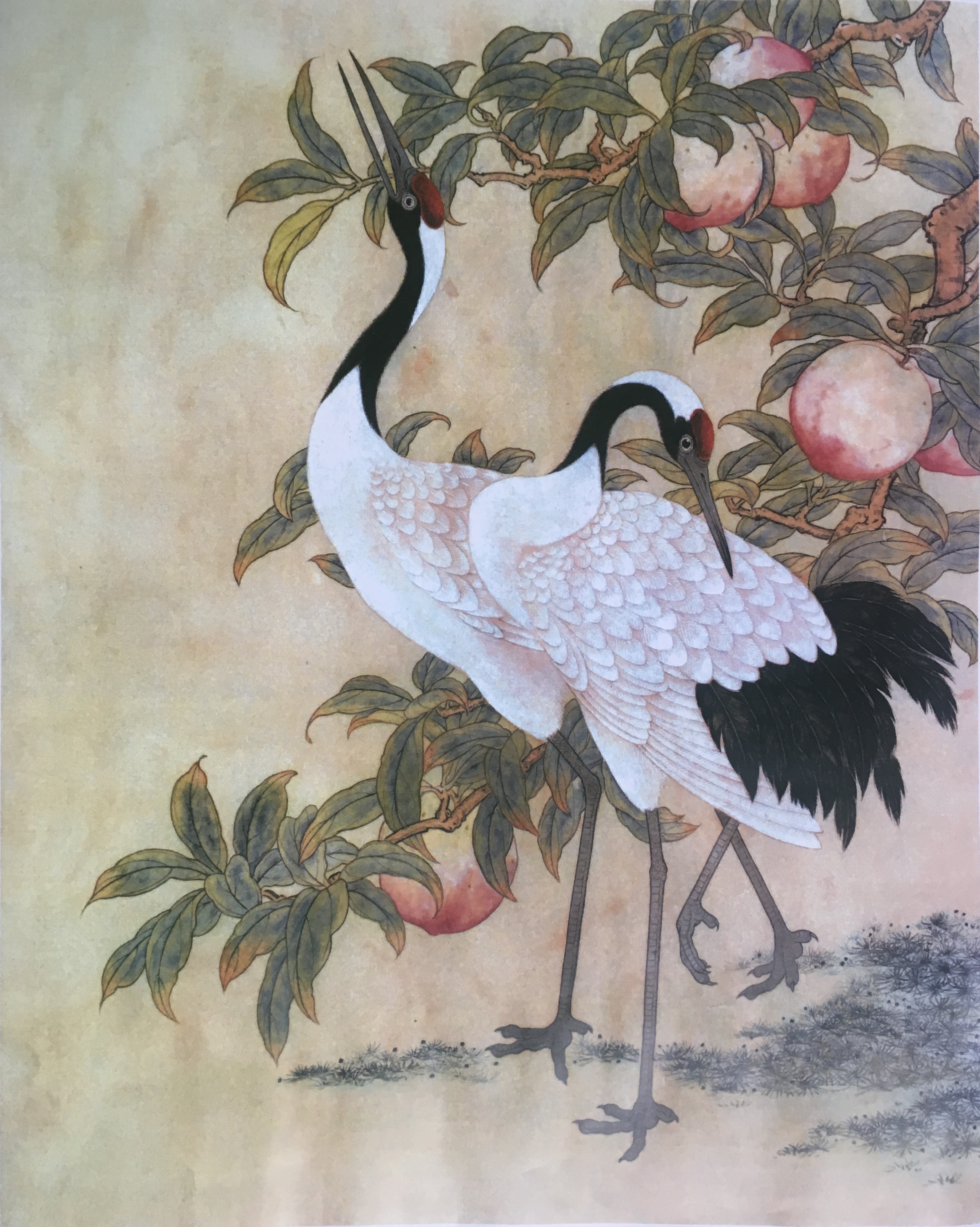 工笔画底稿  仙鹤稿 仙鹤寿桃 白描1#打印稿 毛笔勾线宣纸稿