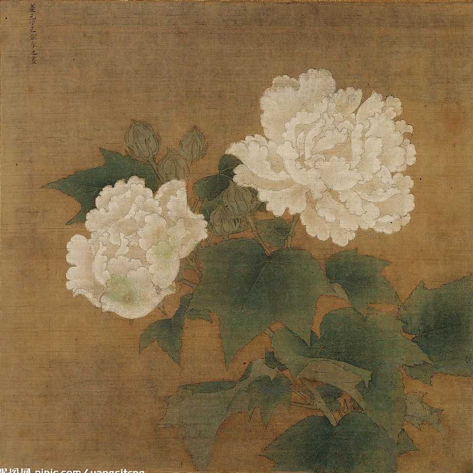 工笔画底稿宋李迪白芙蓉图白描56#打印稿毛笔勾线宣纸稿本店拷贝
