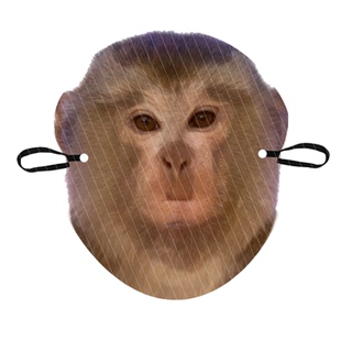 黄磊向佐吗喽纸质面具应援定制面具搞笑搞怪氛围新款帅气抖音同款