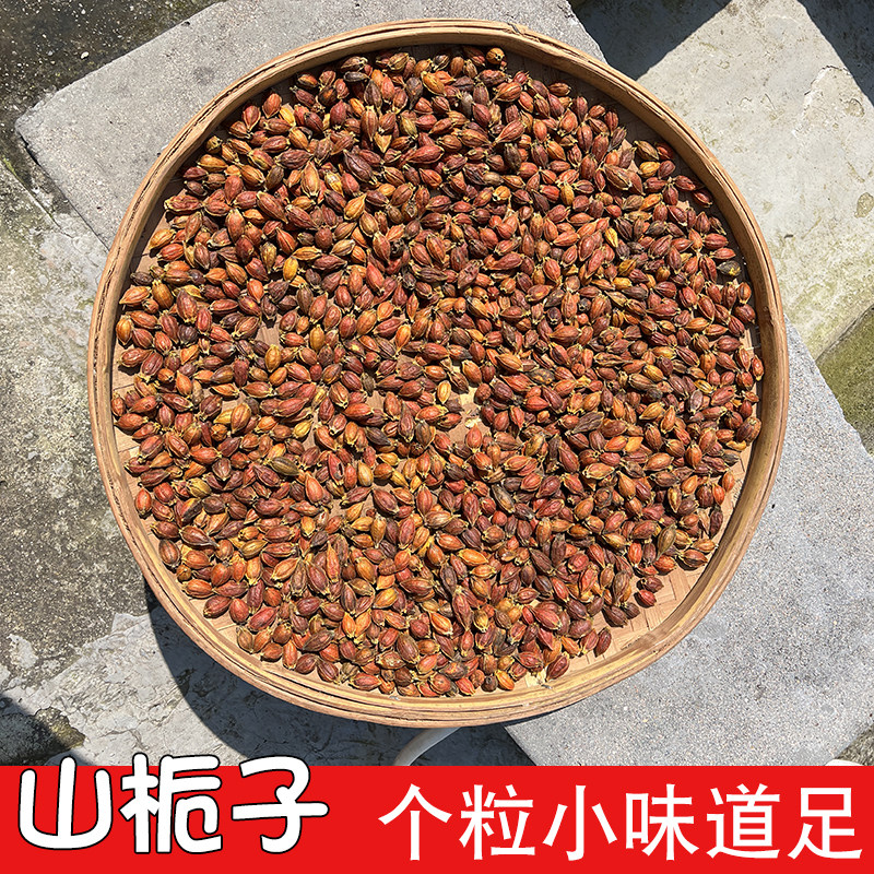 栀子果中药材黄栀子农家当年新货
