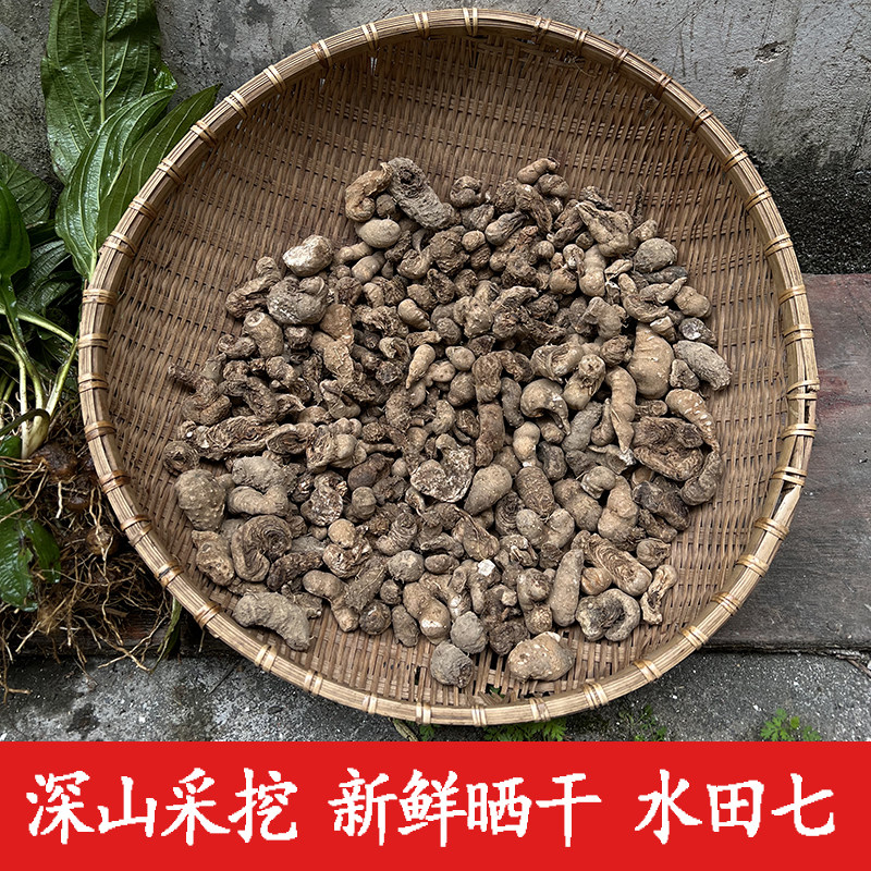 水田七中药材500克包邮水三七水虾公屈头鸡土三七农家新晒干货