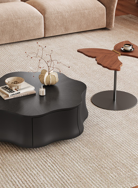 意式极简茶几客厅家用2025新款储物异形花瓣蝴蝶网红黑色茶几边几