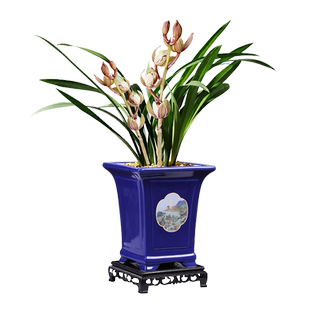 复古陶瓷花盆客厅桌面文竹蝴蝶兰君子兰盆栽多肉绿植造景大口径盆