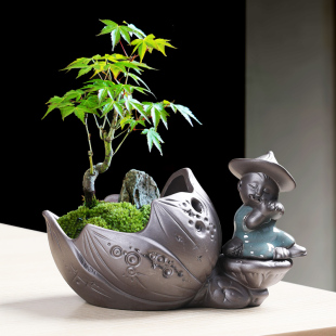 紫砂花盆陶瓷家用阳台桌面禅意多肉兰花文竹造景观景盆栽摆件透气