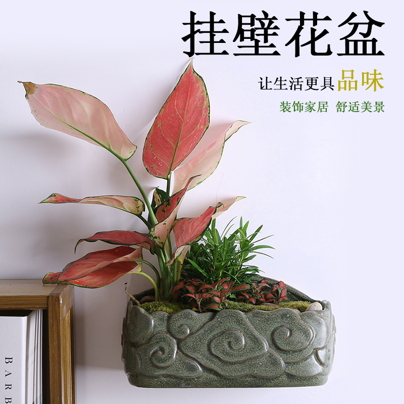 垂吊式挂墙花盆壁挂陶瓷创意阳台多肉绿萝铜钱草悬挂式装饰免打孔