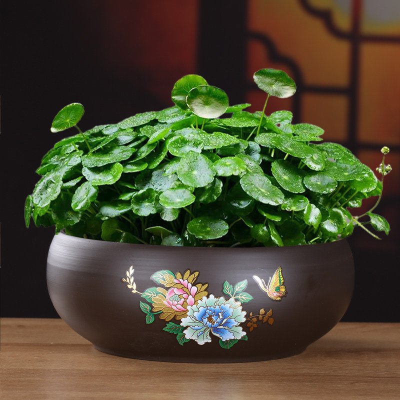 水仙花盆陶瓷大号创意无孔铜钱草碗莲睡莲多肉水培紫砂小鱼缸清仓