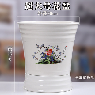 君子兰花盆陶瓷带托盘简约家用阳台创意绿萝蝴蝶兰特大号特价 绿植