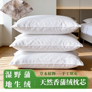 蒲绒枕头蒲棒水毛腊烛水烛香蒲枕芯单人枕透气清香枕头芯