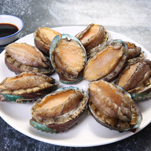 速冻鲍鱼10只每袋十头原汁多规格 冷冻包装福建鲍 高蛋白袋装酒店