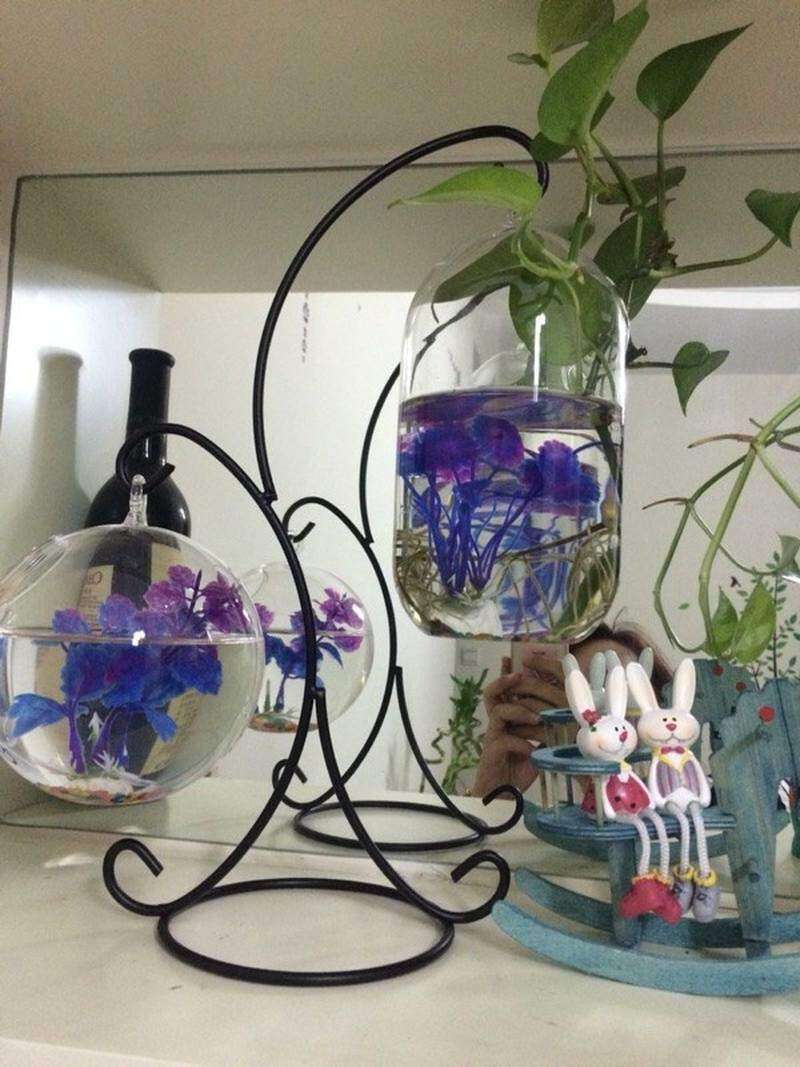 悬挂摆件式花瓶摆放女家里养鱼挂垂吊摆放宿舍小花瓶鱼缸装饰品