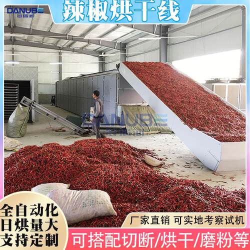辣椒烘干色选全套设备 全自动辣椒烘干磨粉生产线 辣椒大型烘干机