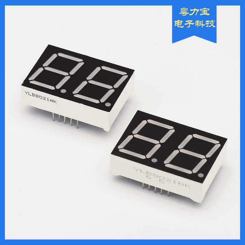8英寸2位单色白色插脚数码管共阴共阳