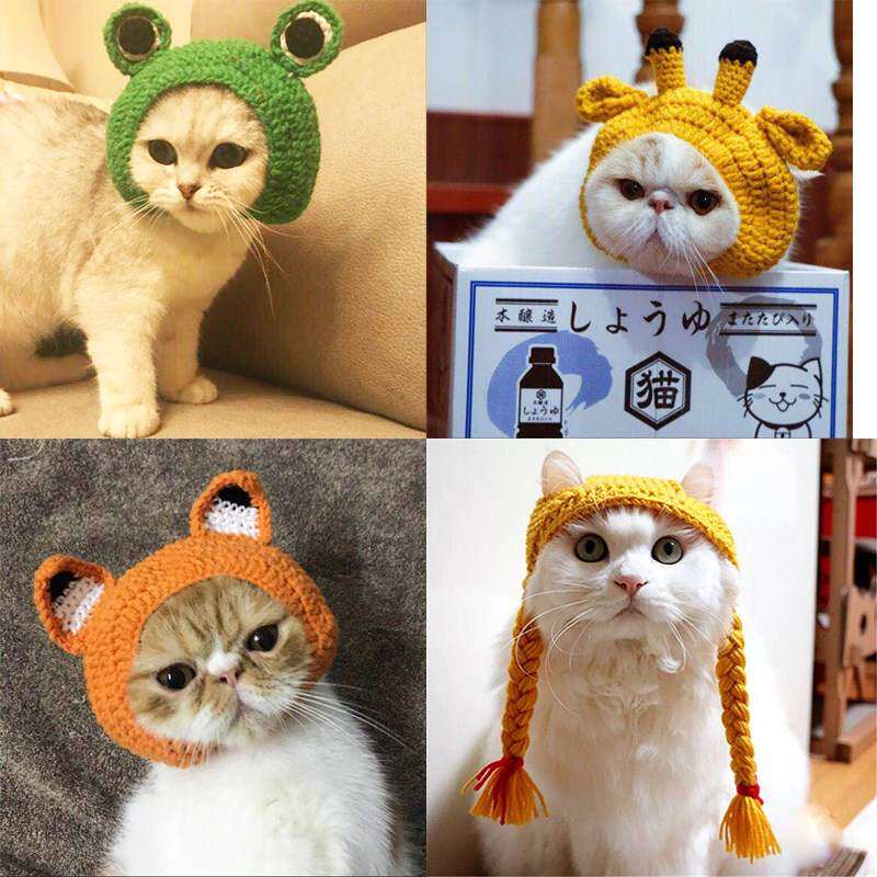 吐司手工变的头套纯猫装青蛙帽子狐狸猫猫咪毛线编制宠物戴帽子