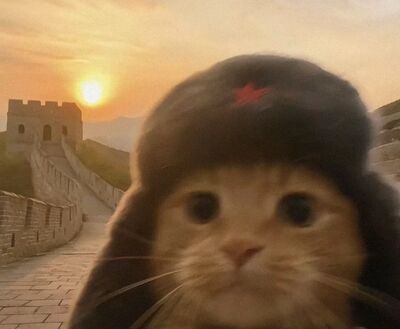 沙丘:觉醒辅助科技Dune:Awakening修改器 飞机导弹跟踪 颗秒玩家