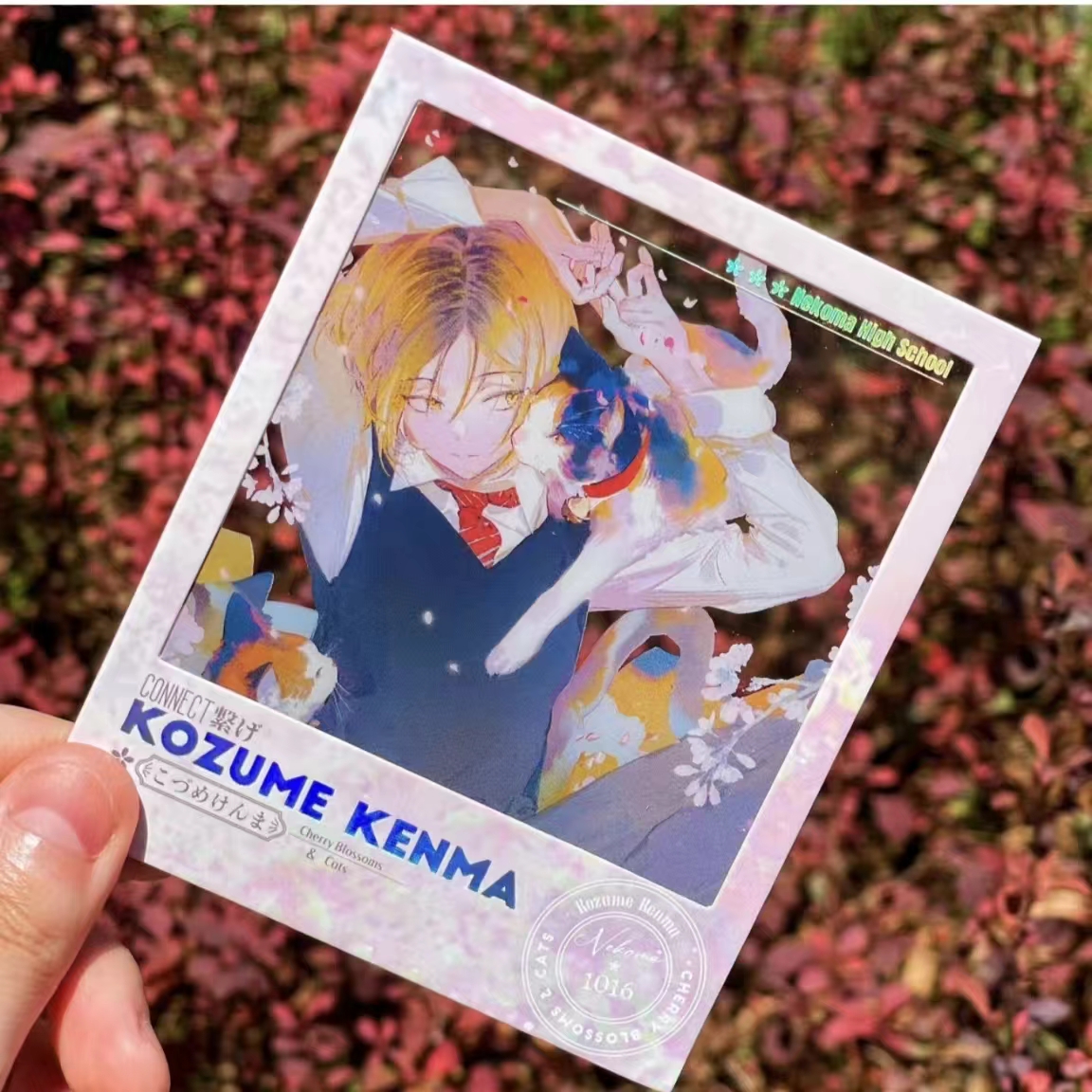 新款排球少年同人谷透卡孤爪研磨