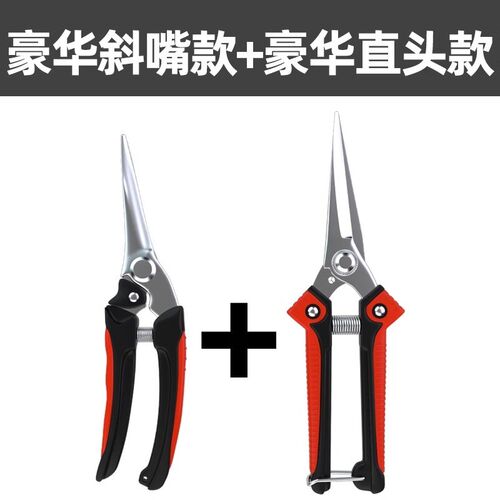 德国园艺剪刀修枝剪果树家用树枝修剪剪刀剪树修花园林专用加硬剪