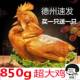 山东德州正宗五香扒鸡特产口水鸡1斤6两五香鸡下酒菜零食熟食即食