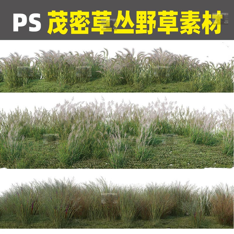 2022高清ps自然草丛野草观赏草园林景观效果图后期psd免扣素材