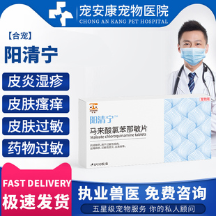 阳清宁止痒药狗异位性克皮炎皮肤药物过敏波细菌皮炎湿疹爱