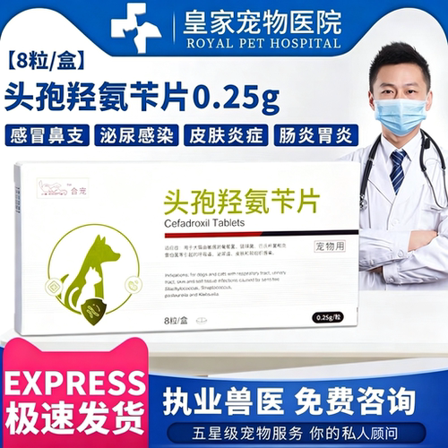 欣炎宁头孢羟氨苄宠物犬猫消炎药