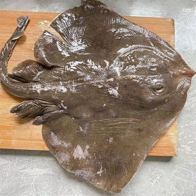新鲜魔鬼鱼冷冻海鲜水产海鱼老板鱼鳐鱼孔鳐鲽鱼5斤整条包邮