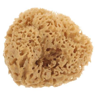 Natural Sponge Bath Ball Honeycomb Body Scrubber