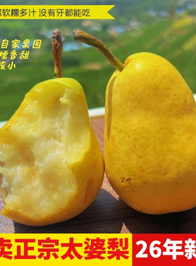 烟台正宗太婆梨软糯多汁