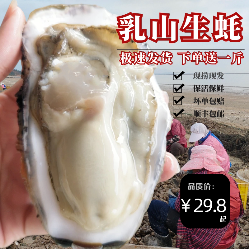 乳山生蚝鲜活刺身海鲜水产