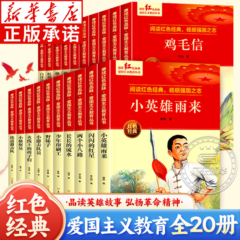 赓续红色血脉爱国主义教育丛书全20册 6-9-12岁小学生三四五六年级课外书 革命精神少年励志丛书 儿童读物英雄故事课外阅读书籍 - 实物图