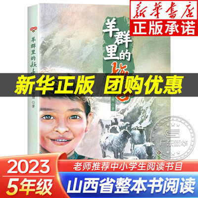 羊群里的孩子 2023山西省整本书阅读打卡五年级下册课外书 笔墨书香经典阅读 小学生成长励志脱贫故事 李珊珊 四川少年儿童出版社