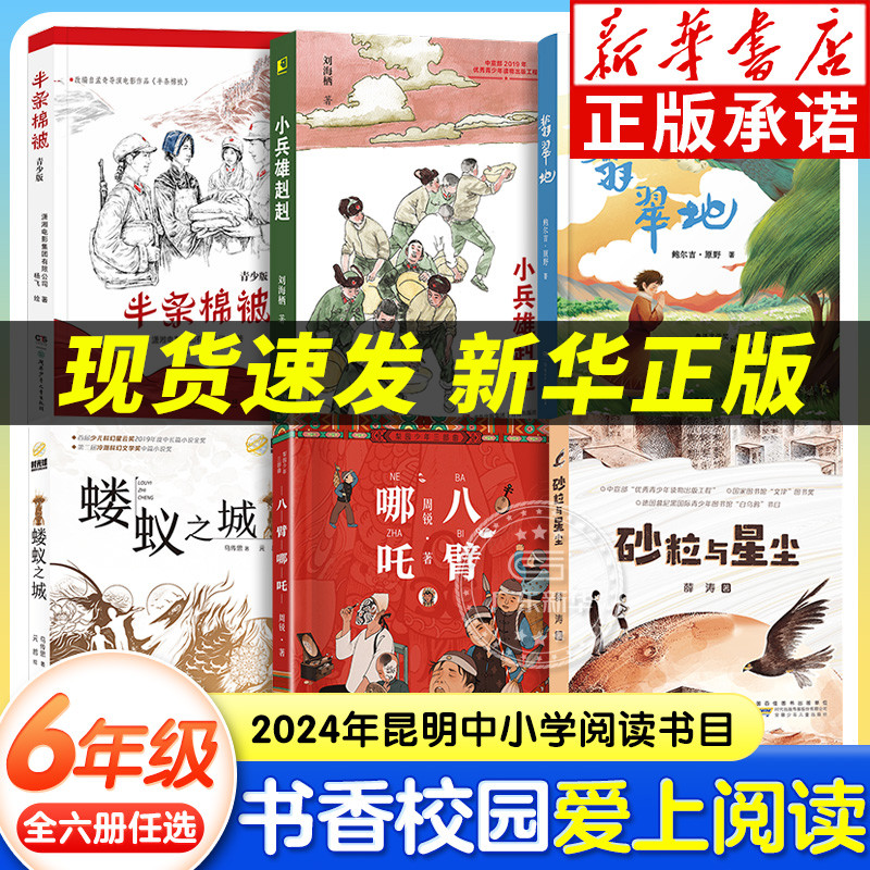 2024昆明朝阳书香校园打卡六年级