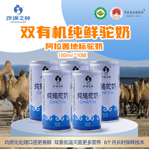 沙漠之神原味液态奶骆驼奶10罐