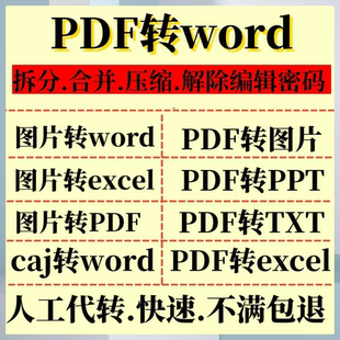 PDF/PPT/图片/照片/扫描件/转word/excel/TXT互转可编辑文档转