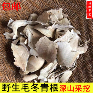 野生毛冬青根 纯根 细叶毛冬青 毛披树根 乌尾丁中药材500g 干货
