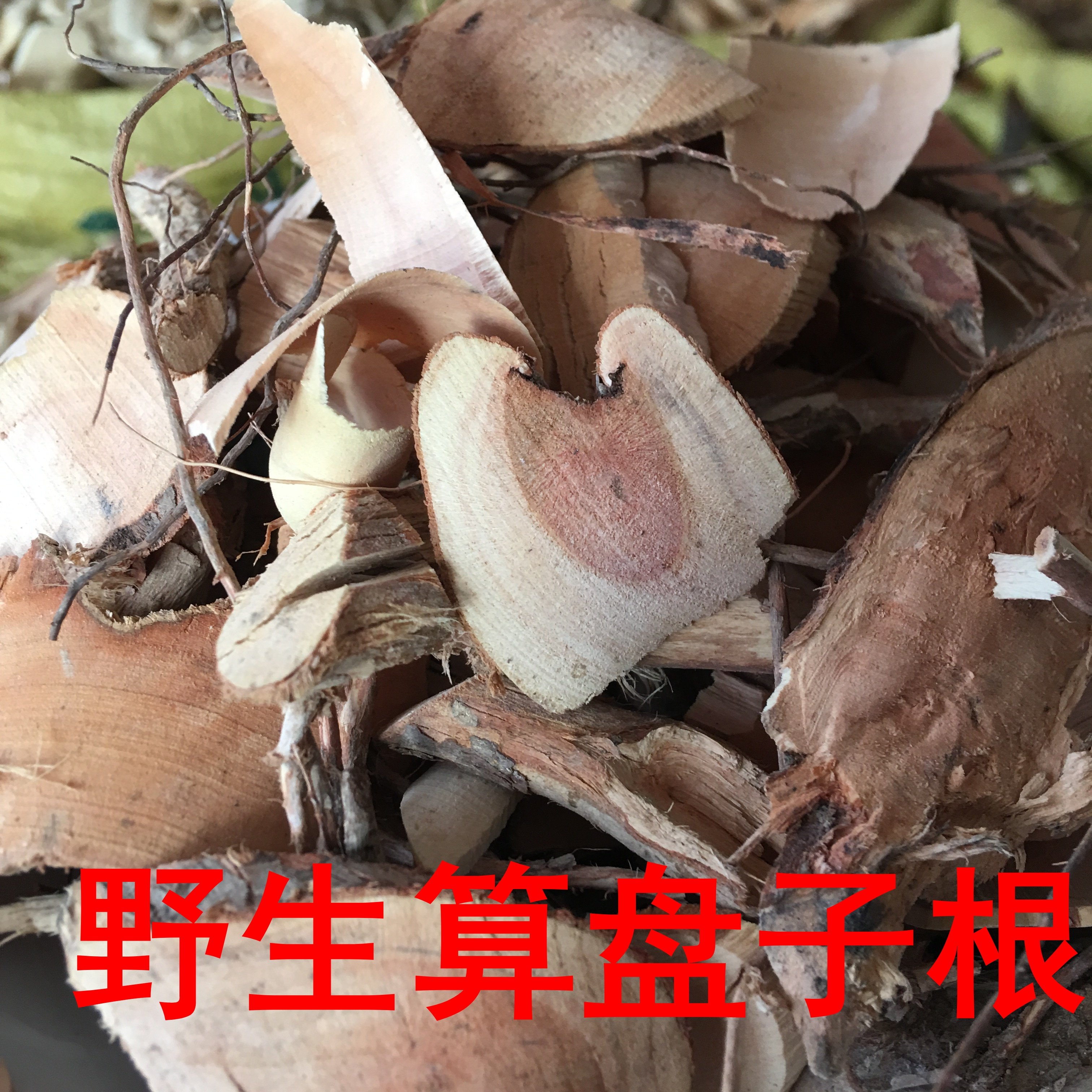 野生中药材算盘子根野南瓜根馒头果算盘珠漆大姑纯根干货5oog包邮