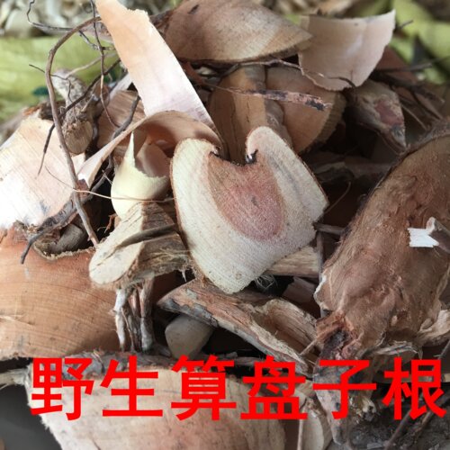 野生算盘子中药材