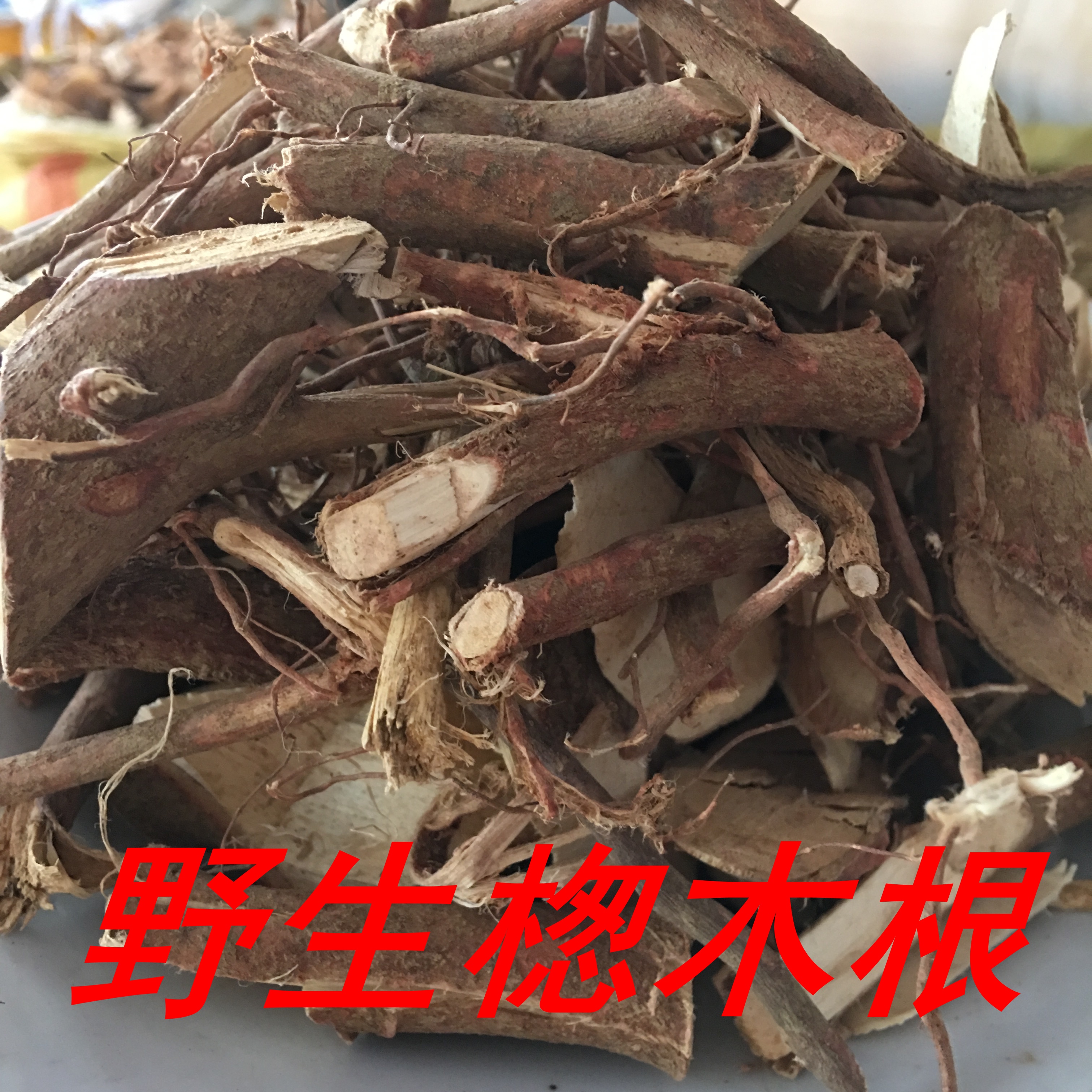 野生鸟不宿根 红楤木根 鸟不落鸟不落根新鲜晒干 500g包邮