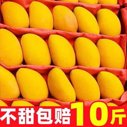 正宗海南小台芒果农芒新鲜10斤当季超甜树上熟热带水果大果特产
