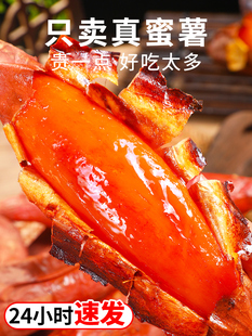 正宗烟薯25山东流油红糖心稀软瓤密蜜薯育苗地瓜红薯种子高产