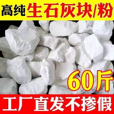 生石灰块干燥剂杀菌消毒种菜驱虫回南天吸潮除湿散装防霉粉刷墙用
