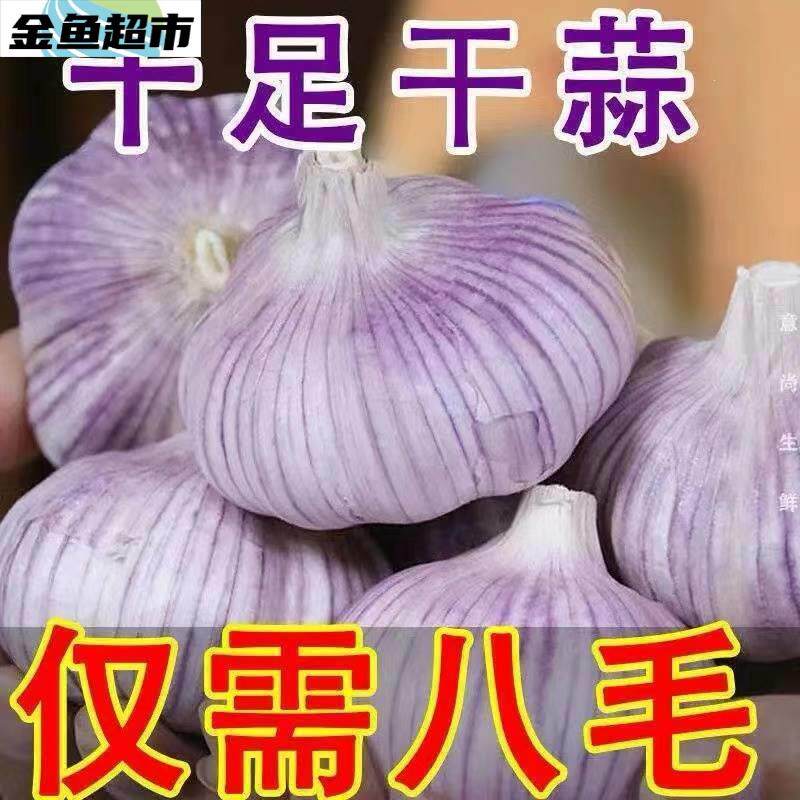 大蒜头干蒜5斤新鲜大蒜头紫皮嫩农家今年2023年农家白皮蒜干货