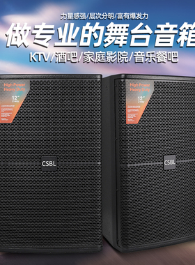 专业演出音箱12寸家庭KTV音响酒吧唱歌包厢人声经典音质重低音频