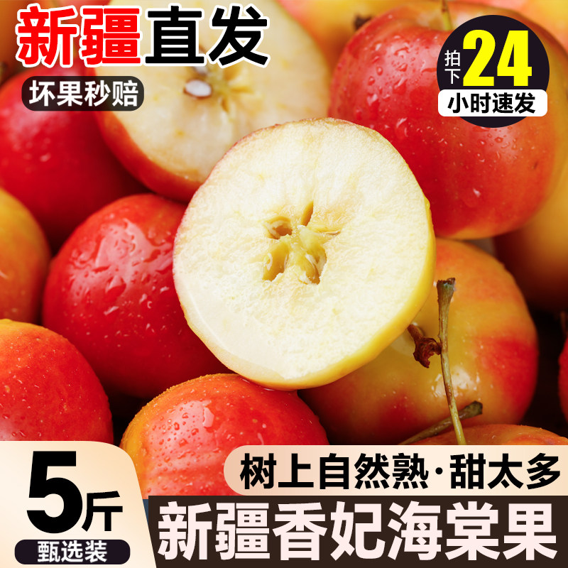 【新疆直发】正宗新疆香妃海棠果5斤鸡心果小苹果当季新鲜水果
