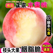 【顺丰包邮】水蜜桃新鲜现摘苹果桃子新鲜水果毛桃脆桃整箱包邮