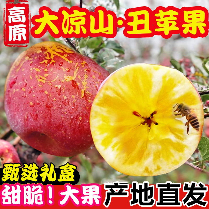 【礼盒】大凉山丑苹果