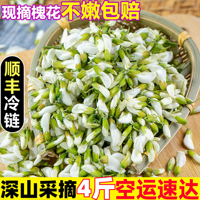 【顺丰上门】槐花新鲜现摘当季野生洋槐花骨朵农家野菜鲜槐花