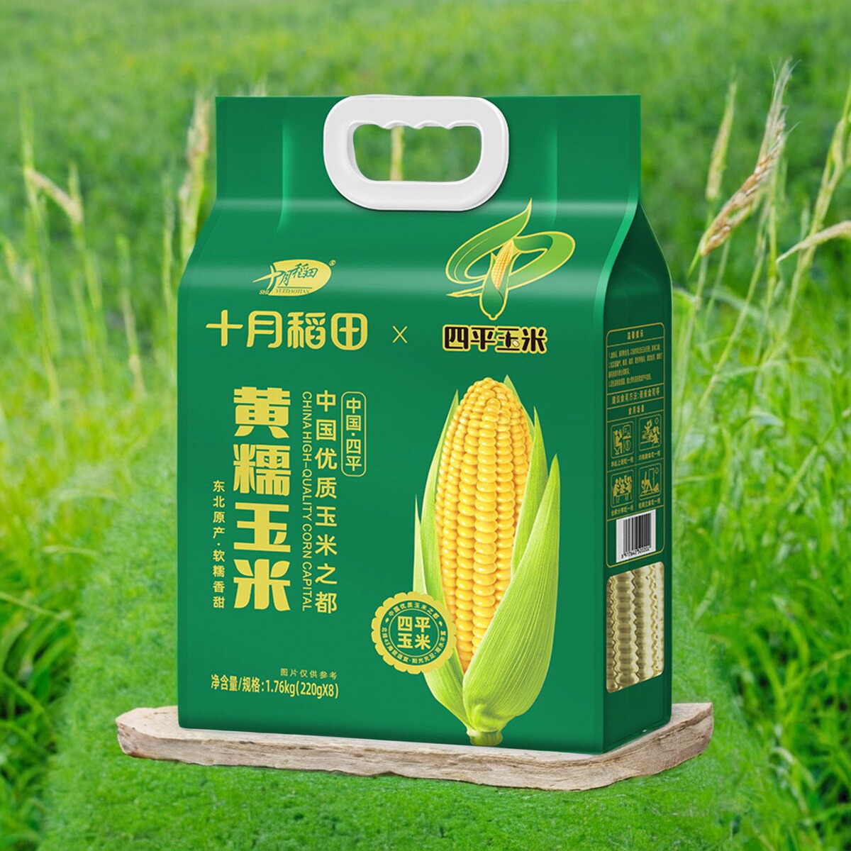 十月稻田常温阴凉避光吉林四平糯